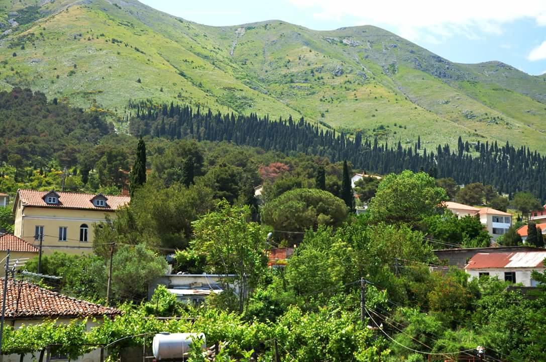 Hotel Shkodra Lake Široka Buitenkant foto