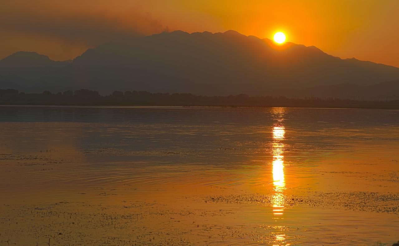 Hotel Shkodra Lake Široka Buitenkant foto